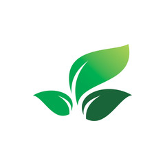 green nature group leaf logo design