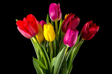 Bouquet of tulips