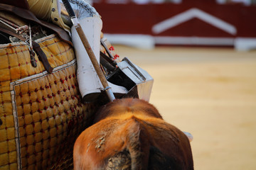 Hitting a bull in a bullfight