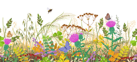Seamless Border with Autumn Meadow Plants and Insects