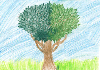 Rysunek dziecka, drzewo rysowane kredką - obrazy, fototapety, plakaty