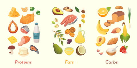 Macronutrients vector illustration. Main food groups : proteins, fats and carbohydrates. Dieting, healthy eating concept.