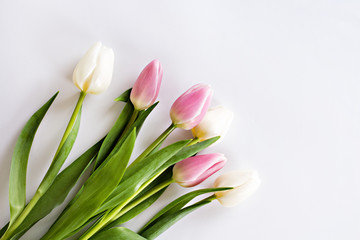Bouquet of white and pink tulips on a white background. Women's Day, Mom's Day