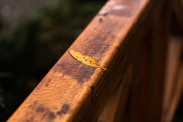 A close up of a wooden bench in the park. close up texture fragment of the wooden bench in the park in fall,top view, diagonal lines of light and shadow, high contrast. Wooden background