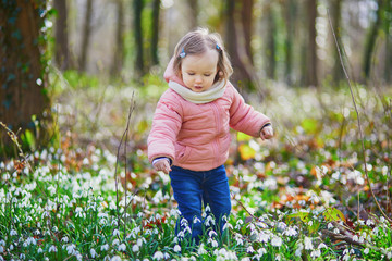 Cute toddler girl standing in the grass with many snowdrop flowers in park or forest
