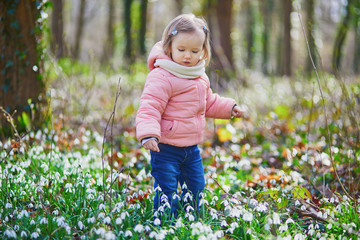 Cute toddler girl standing in the grass with many snowdrop flowers in park or forest