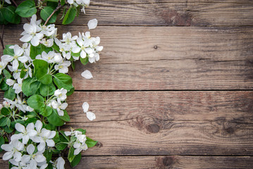 Fototapeta na wymiar Branches of a blooming apple tree with white flowers on a wooden background, with copy space