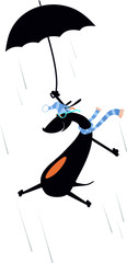 Windy day and a dog with umbrella illustration. Cartoon dachshund with an umbrella gone with the strong wind isolated on white illustration