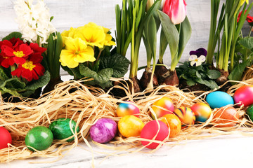 Easter eggs hiding in the grass with daffodil, tulips and other spring beautiful flowers