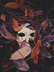 Mask With Drops Of Blood Hidden In Autumn Foliage. Maniacs and serial killers. Criminals in the...