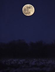 Fototapeta na wymiar Full Moon in Night Sky over Snowy Field