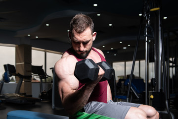 Man Working Out Biceps In A Gym - Dumbbell Concentration Curls