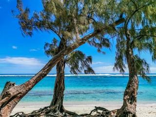 Plage de l'Hermitage - Ile de la R&eacute;union