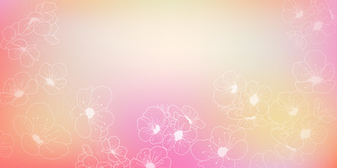 Background with flowers of cherry blossoms, white on pink and yellow