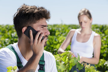 vintner talking on mobile phone in vineyard