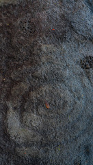 Petroglyph, Majaguas hill, Pacific lookouts, Lo de Marcos village, Riviera Nayarit, Pacific Ocean, Nayarit State, Mexico, Central America, America