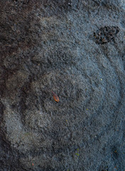 Petroglyph, Majaguas hill, Pacific lookouts, Lo de Marcos village, Riviera Nayarit, Pacific Ocean, Nayarit State, Mexico, Central America, America