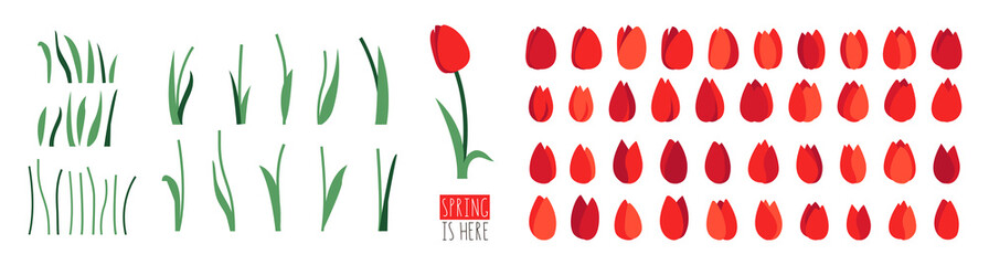 Vector set of floral elements isolated on white background. Red tulip flowers, green leaves, branches, stalks. Clip art for bright festive greeting card, poster, banner. Spring design. Womens Day - obrazy, fototapety, plakaty