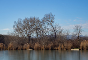 Small lake on a sunny winter day