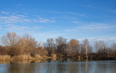 Naklejka na ściany i meble Small lake on a sunny winter day