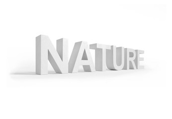 Nature 3D rendering white letters in perspective texture