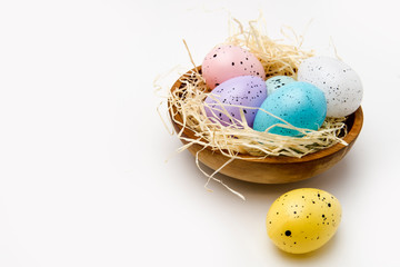 nest with easter eggs on  white background