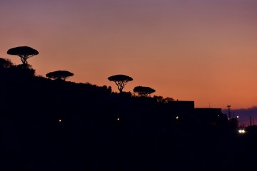 Fototapeta na wymiar Sorrento - view on the Naples bay - evening
