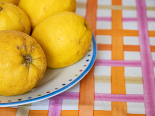 Close up of organic lemons in a colorful dish, on top of a table. Useful as a floral background.