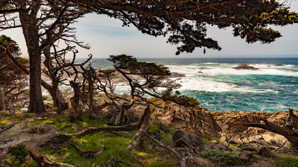 Crashing Surf along the Pacific Coast of California at Cypress Cove