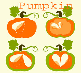 pumpkin collection, vector graphics, pattern, illustration