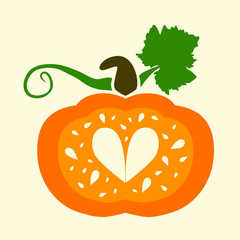 pumpkin collection, vector graphics, pattern, illustration