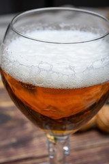 Glass of Belgian abbey blond beer  and stone plate with cheeses made by monks from cow milk with  fenugreek and mustard seeds