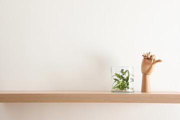 Wooden shelf with beautiful plant and mannequin hand on light wall