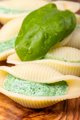 italian conchiglino pasta filled with spinach