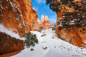 Bryce Canyon Winter Snow