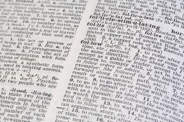 dictionary word follow