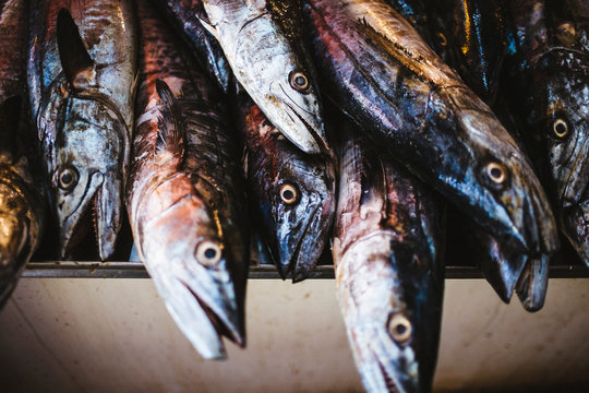 High angle close up of fish at a market.,Goa