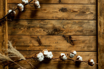 Dried white fluffy cotton flower top view on wood with copy space. Floral composition