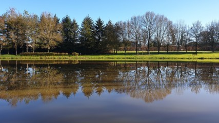 Reflets d'arbres sur miroir d'eau