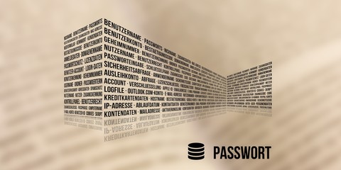 Passwort