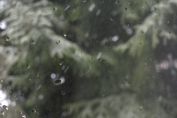 rain drops on the window