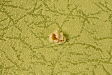 popcorn on the green table