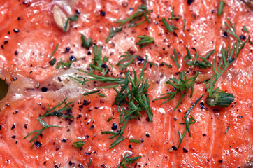 salmon steak 