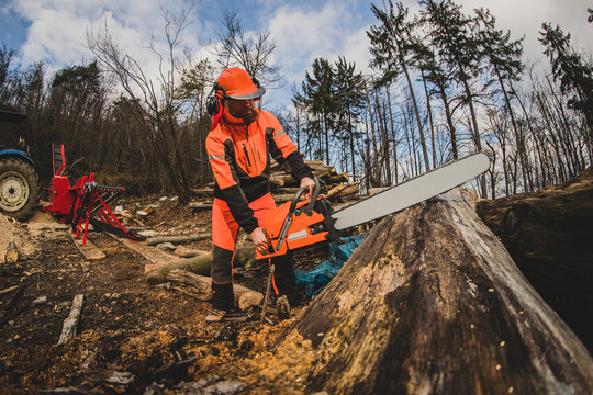 A chainsaw operator is preparing to cut a tree trunk, holding a big orange chainsaw. Protective equipment is used, such as helmet, pants and a vest. Forest and a tractor in the background.