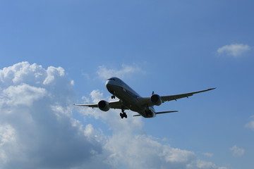 飛行機