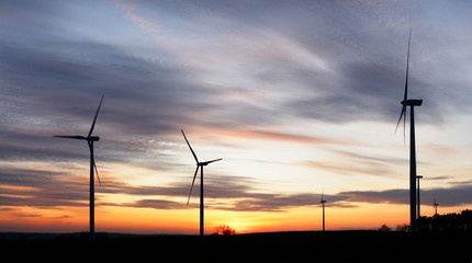 Fototapeta na wymiar wind farm in fields at sunset near Stargard in Poland, beautiful landscape, natural colors