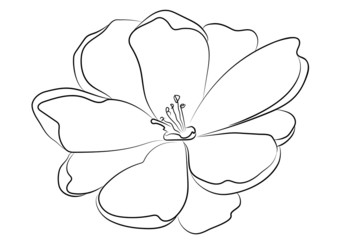 Hand drawn floral vector illustration. Abstract line art flower on white background. Perfect for pattern, logo, scrapbooking, textile design, fabric, wallpaper, wrapping paper.