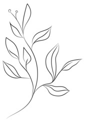 Hand drawn floral vector illustration. Branch on white background. Perfect for pattern, logo, scrapbooking, textile design, fabric, wallpaper, wrapping paper.