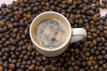 Cup of hot coffee in the middle of roasted coffee beans ready for grinding