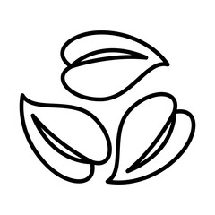 leafs plant ecology isolated icon